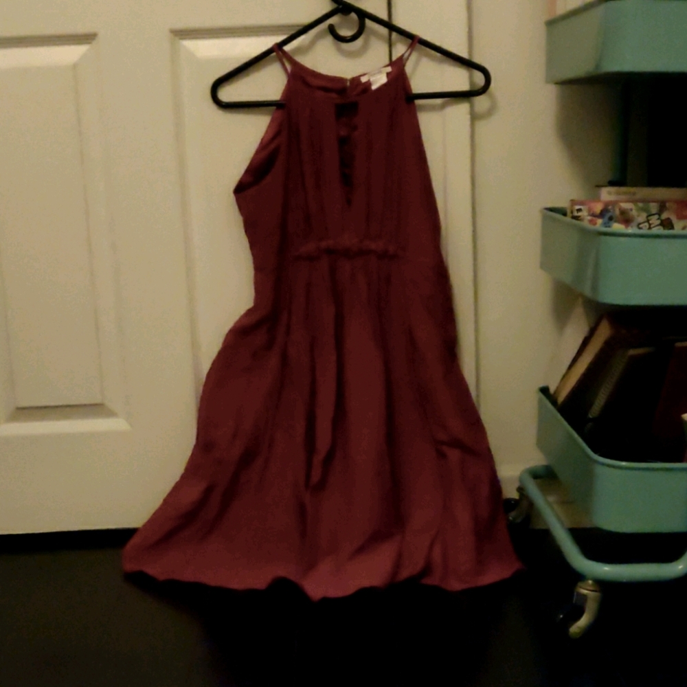 Light Wine Silk-Lined Dress with Back Buttons